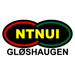 NTNUI crest
