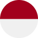 Indonesia U20 crest