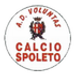 Voluntas Spoleto crest