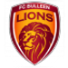 Bulleen Lions crest