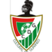 CD Guarnizo crest