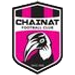 شاينات crest