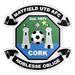 Mayfield United badge
