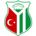 سايهانسبور crest
