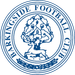 Barkingside FC crest