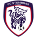 Stumbras Kaunas crest