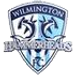Wilmington Hammerheads crest