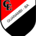 Flamengo de Guanambi crest