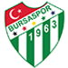 Bursaspor U19 crest