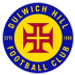 Dulwich Hill FC crest