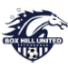Box Hill United crest