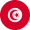 تونس الناشئين